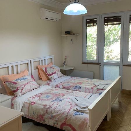 Viitoshka Apartment Sofya Dış mekan fotoğraf