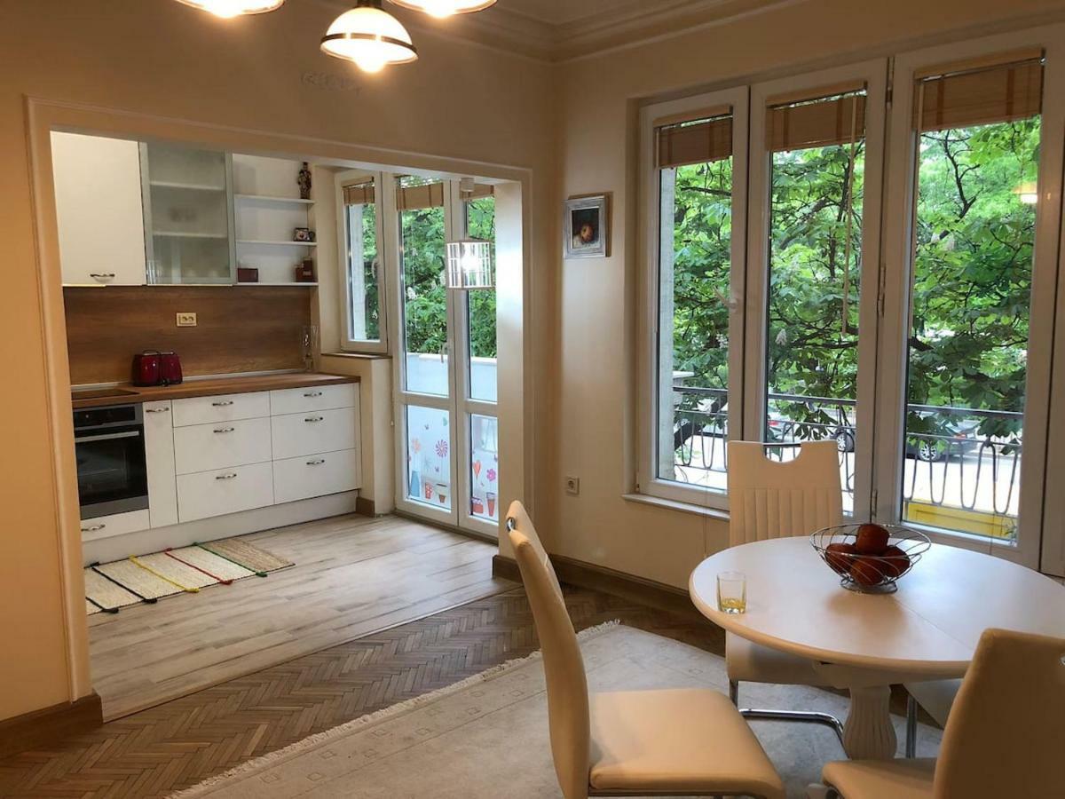 Viitoshka Apartment Sofya Dış mekan fotoğraf