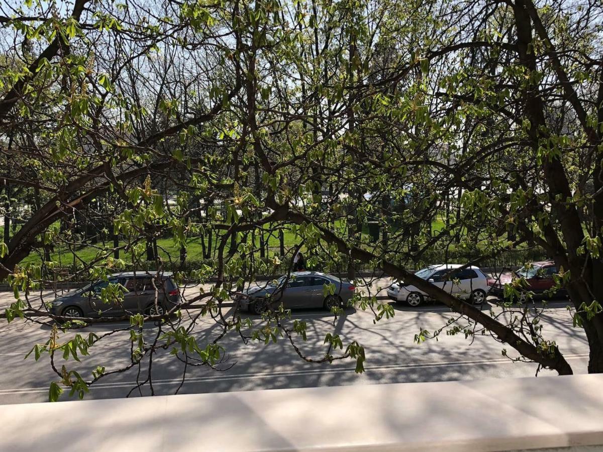 Viitoshka Apartment Sofya Dış mekan fotoğraf